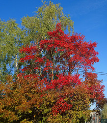 Similar image 21213915