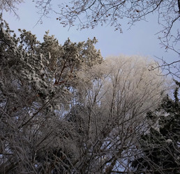 Similar image 21213917