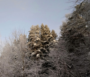 Similar image 21213918