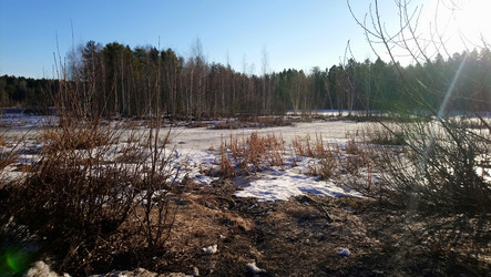 Similar image 21213921