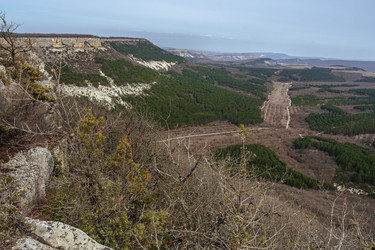 Similar image 21217307