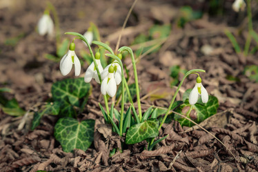 Similar image 21217310