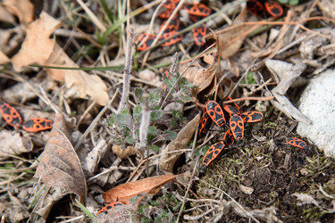 Similar image 21217312