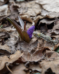 Similar image 21217318