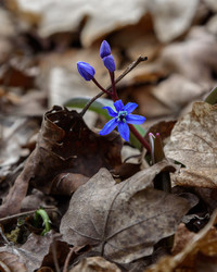 Similar image 21217319