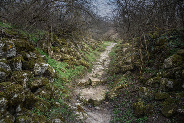 Similar image 21217325