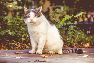 Similar image 21214572