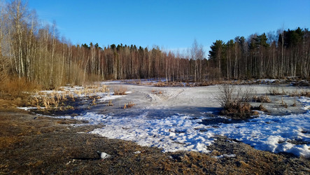 Similar image 21213922