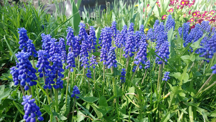 Similar image 21213927