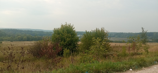 Similar image 21213931