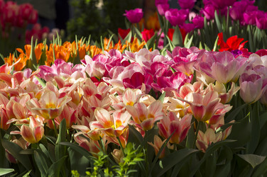 Similar image 21213478