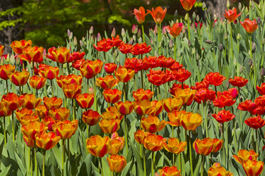 Similar image 21213481