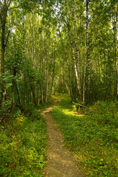 Similar image 21213486