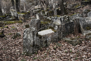 Similar image 21239684