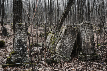 Similar image 21239685