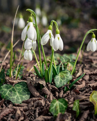 Similar image 21228073