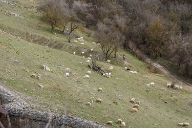 Similar image 21228077