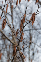 Similar image 21239695