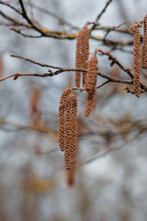 Similar image 21228078