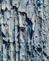 Similar image 21221908