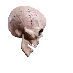 Similar image 21213490