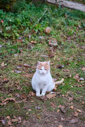 Similar image 21216915