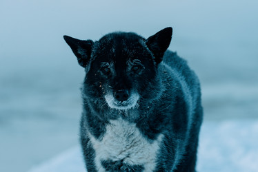 Similar image 21213491