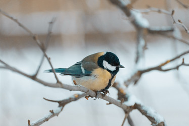 Similar image 21213492