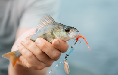 Similar image 21213493