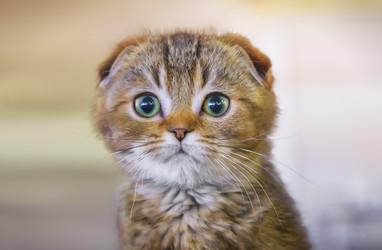 Similar image 21213607