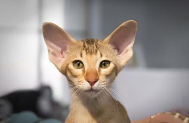 Similar image 21213608