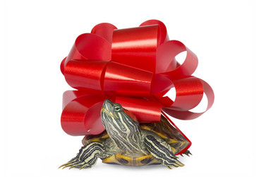 Similar image 21213609