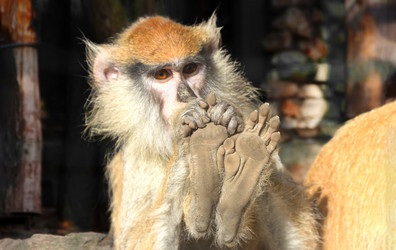 Similar image 21213610