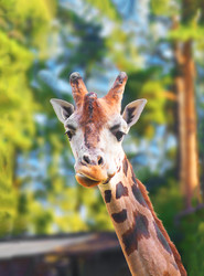 Similar image 21216390