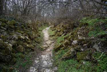 Similar image 21228082