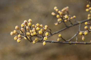 Similar image 21228083