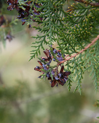 Similar image 21239699