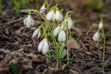 Similar image 21239700