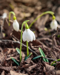 Similar image 21228091