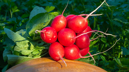 Similar image 21221909