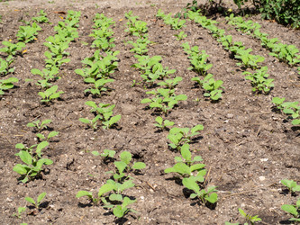 Similar image 21221912