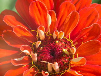 Similar image 21221923