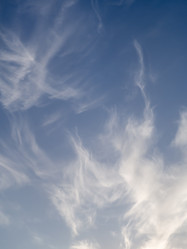 Similar image 21221925