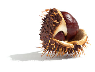 Similar image 21221932