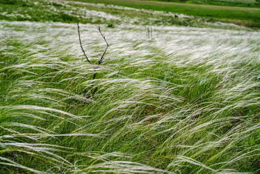 Similar image 21241481