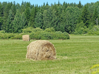 Similar image 21213614