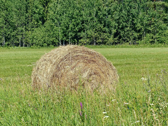 Similar image 21224874