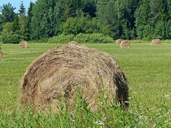 Similar image 21213615