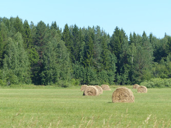 Similar image 21251811