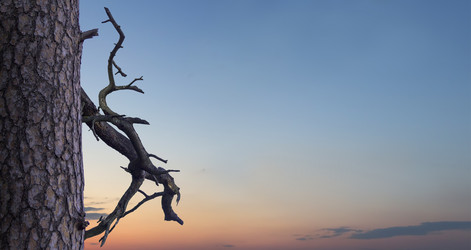 Similar image 21213619